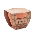 Semi di crescione in vaso - 3