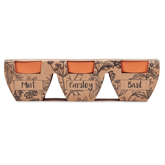 Set di erbe in terracotta - 2