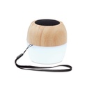 Spaker in bamboo 5.0 - 2