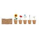 Kit per coltivare fiori - 4