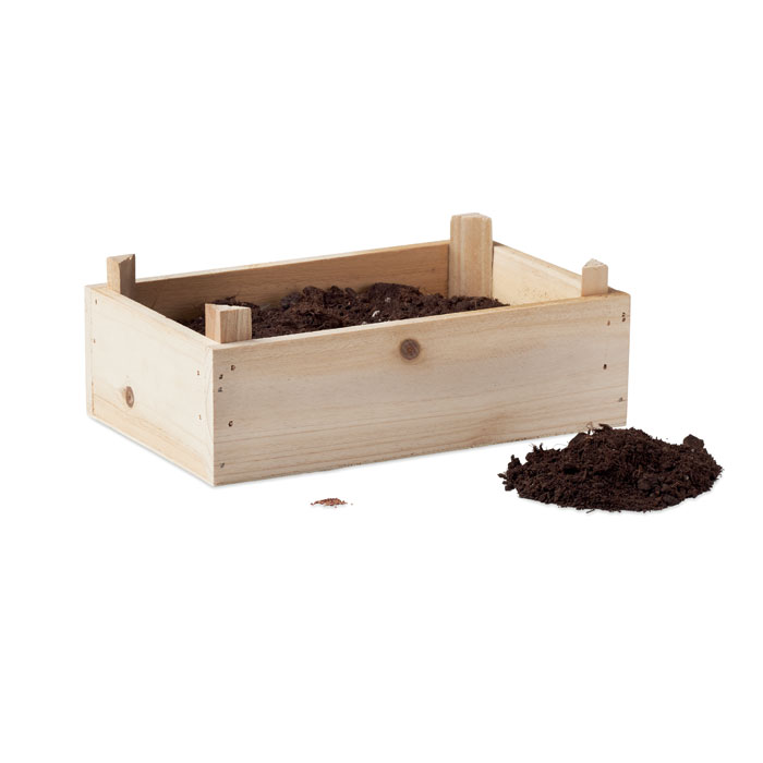 Kit per coltivare fragole - 3