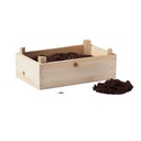Kit per coltivare fragole - 3