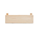 Kit per coltivare fragole - 5