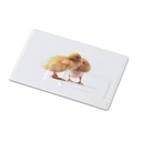 Creditcard. USB flash 32GB - 2