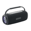 2x10 Speaker impermeabile - 2