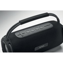 2x10 Speaker impermeabile - 11