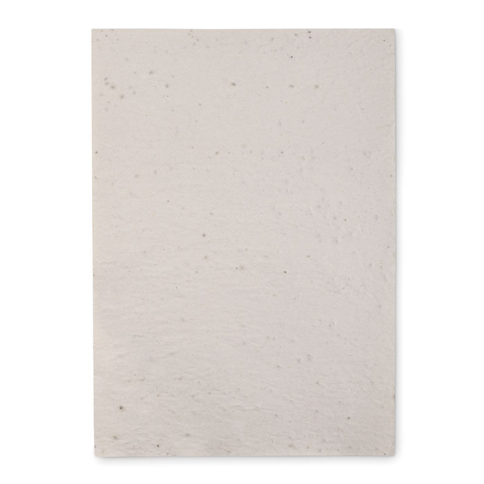 Foglio A4 in carta con semi - 2