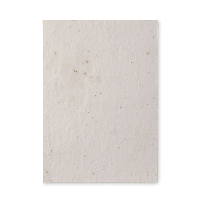 Foglio A5 in carta con semi - 2