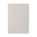 Foglio A5 in carta con semi - 2