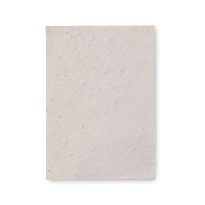 Foglio A6 in carta con semi - 2