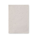 Foglio A6 in carta con semi - 2