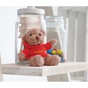 Orsetto di peluche - 4