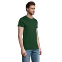T Shirt PIONEER UOMO 175g - 2