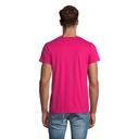 T Shirt PIONEER UOMO 175g - 3