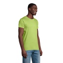 T Shirt PIONEER UOMO 175g - 2