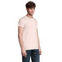 CRUSADER UOMO T Shirt 150 - 2