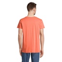 CRUSADER UOMO T Shirt 150 - 2