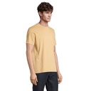 LEGEND T-SHIRT - 3