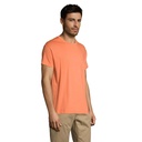 T Shirt REGENT Uni 150g - 3
