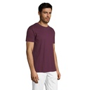 T Shirt REGENT Uni 150g - 3