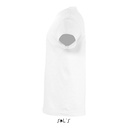 REGENT KIDS T-SHIRT 150g - 3