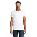 CRUSADER UOMO T Shirt 150