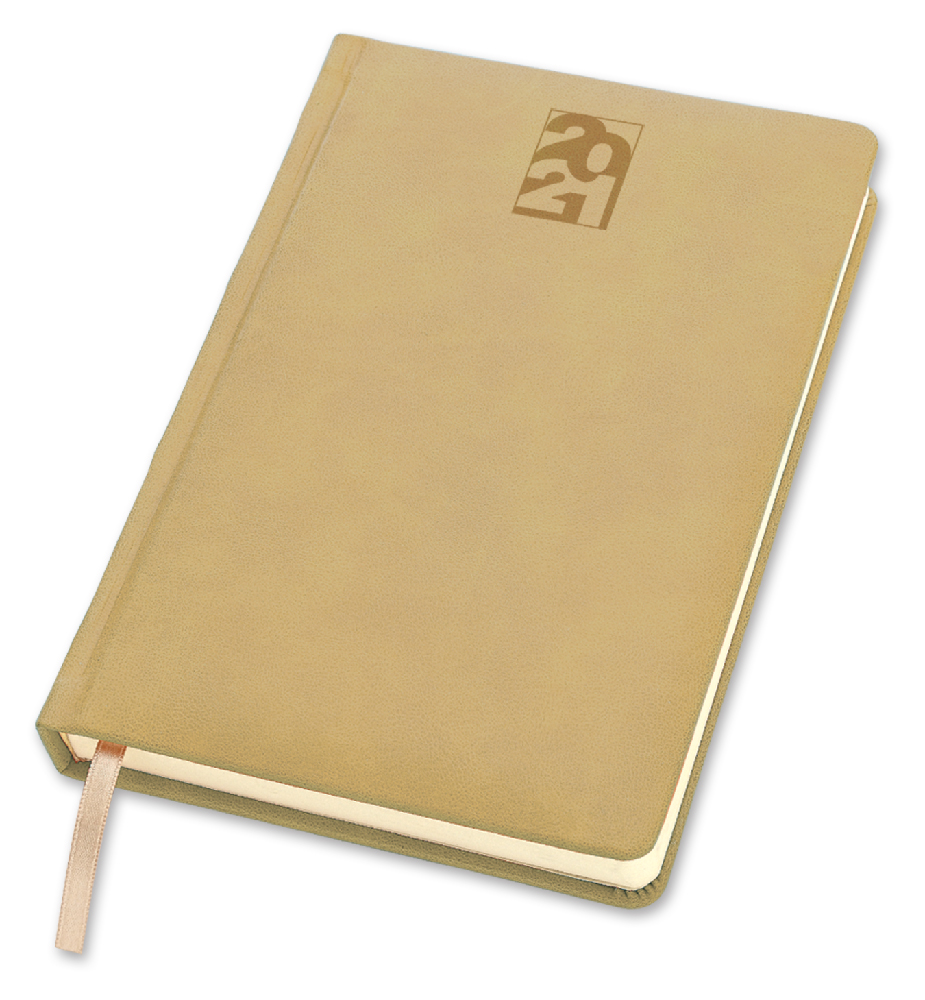 AGENDA TERMOVIRANTE - 17X24 GIORN. QUADRETTI