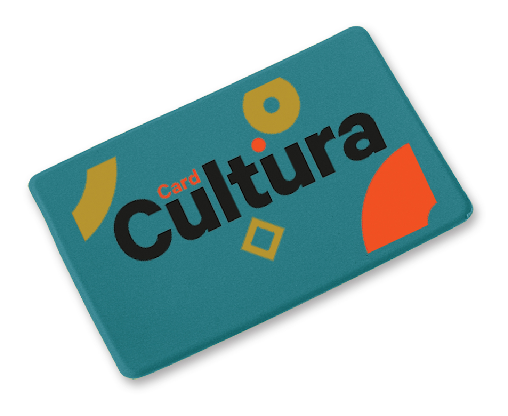 PORTACARD-PORTAPATENTE IN TAM