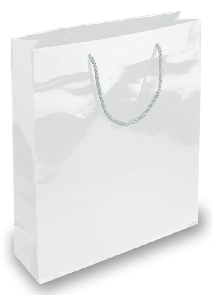 BORSA IN CARTA PLASTIFICATA CM.20x25x10