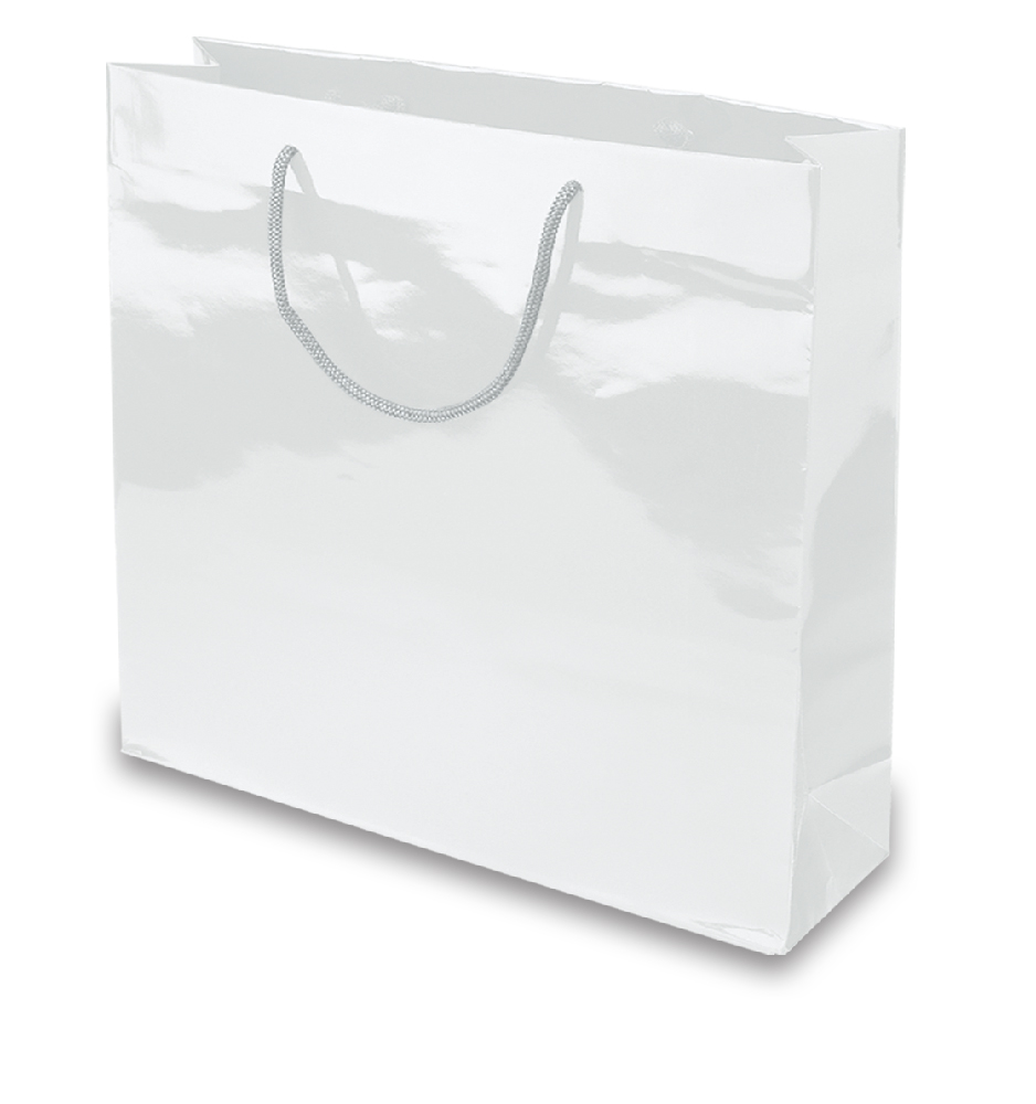 BORSA IN CARTA PLASTIFICATA CM.38x30x12