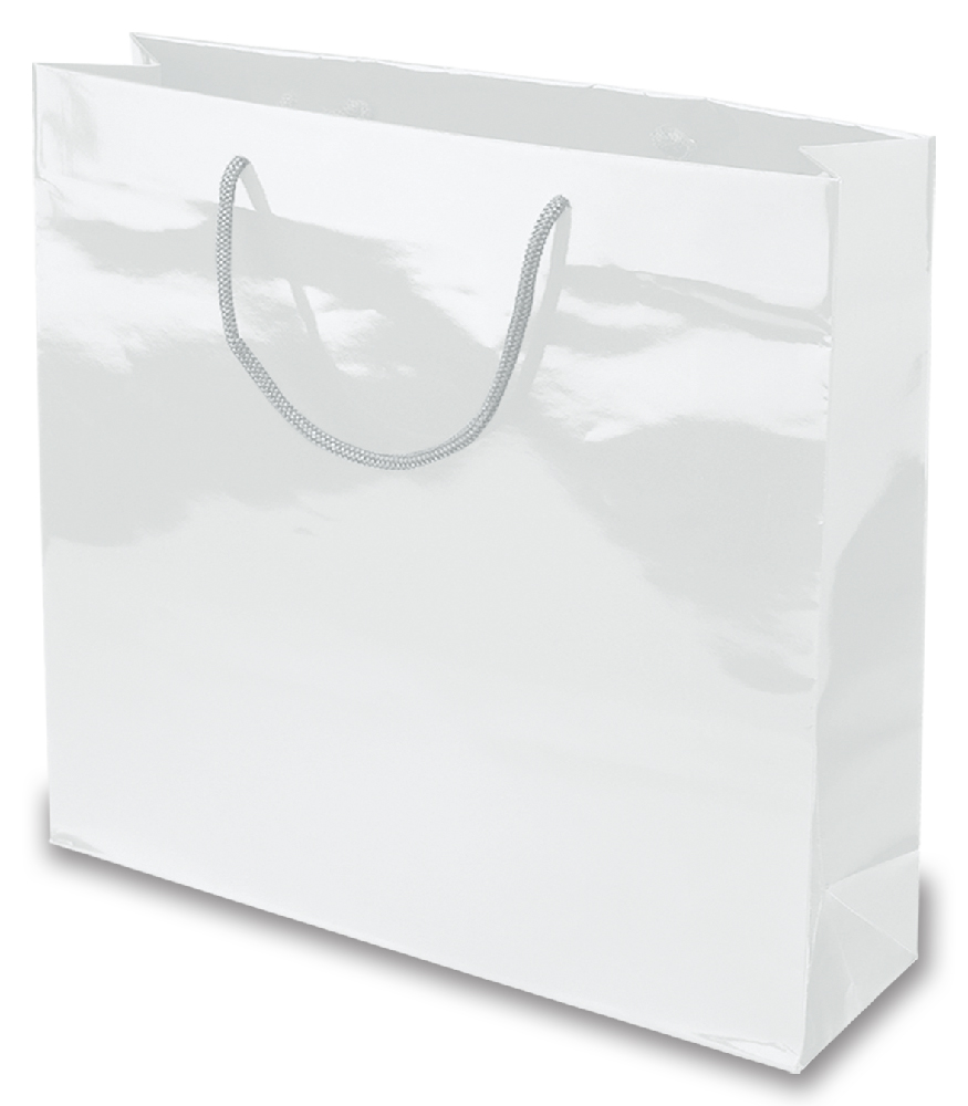BORSA IN CARTA PLASTIFICATA CM.43x39x14