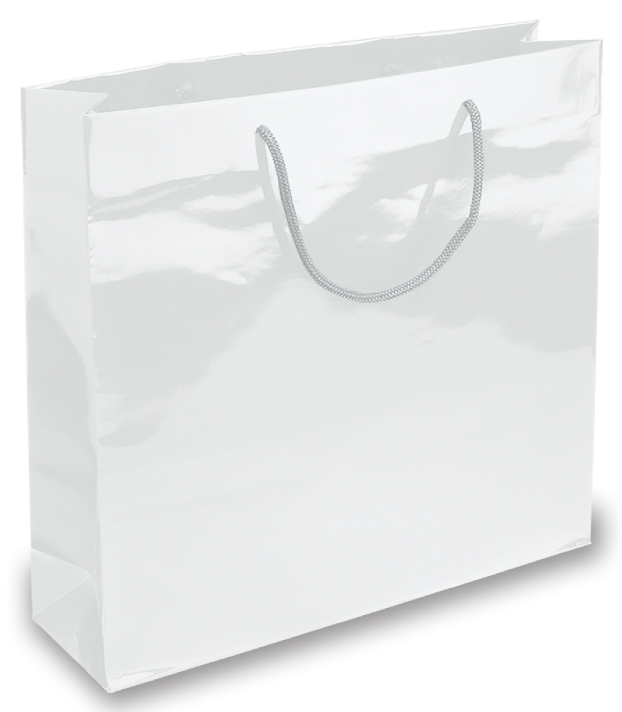 BORSA IN CARTA PLASTIFICATA CM.58x47x14