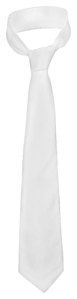 CRAVATTA "MONACO" IN POLIESTERE CM.156X8,2