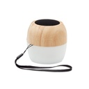 Spaker in bamboo 5.0
