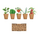 Kit per coltivare insalata