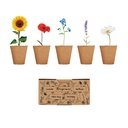 Kit per coltivare fiori