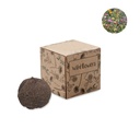 Kit di coltivazione in cartone