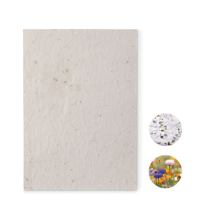 Foglio A5 in carta con semi