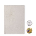 Foglio A5 in carta con semi