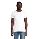 T Shirt PIONEER UOMO 175g