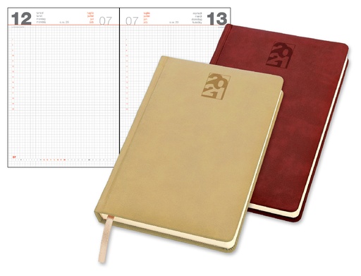 AGENDA TERMOVIRANTE - 17X24 GIORN. QUADRETTI