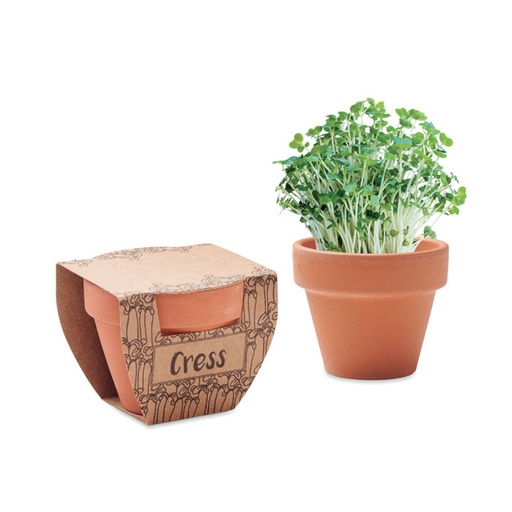[MG-03023] Semi di crescione in vaso