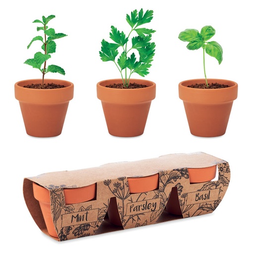 [MG-03357] Set di erbe in terracotta