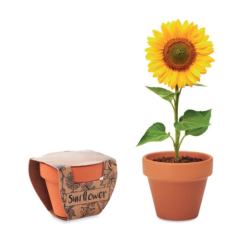[MG-03359] Semi di girasole