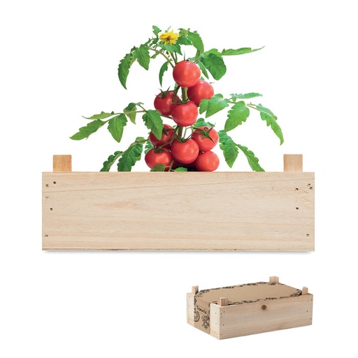 [MG-03549] Kit di semi di pomodor