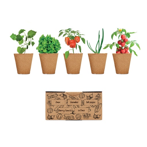 [MG-03550] Kit per coltivare insalata