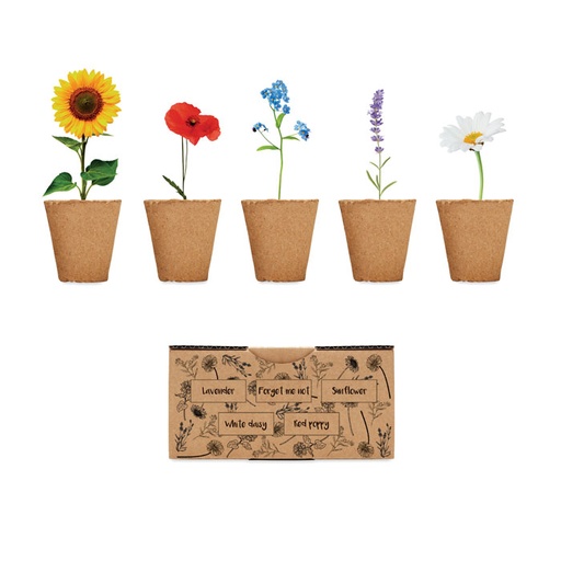 [MG-03551] Kit per coltivare fiori