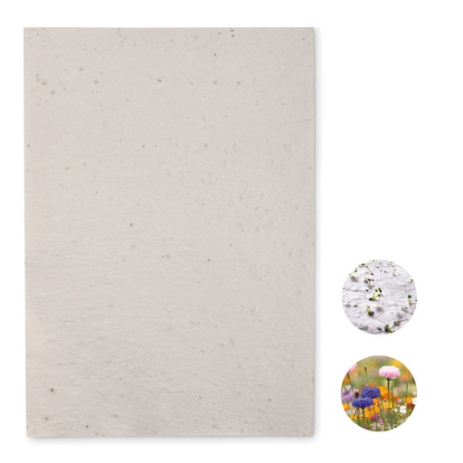 [MG-03821] Foglio A4 in carta con semi