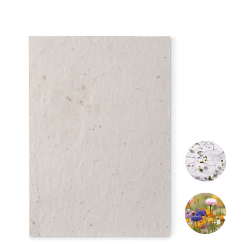 [MG-03822] Foglio A5 in carta con semi