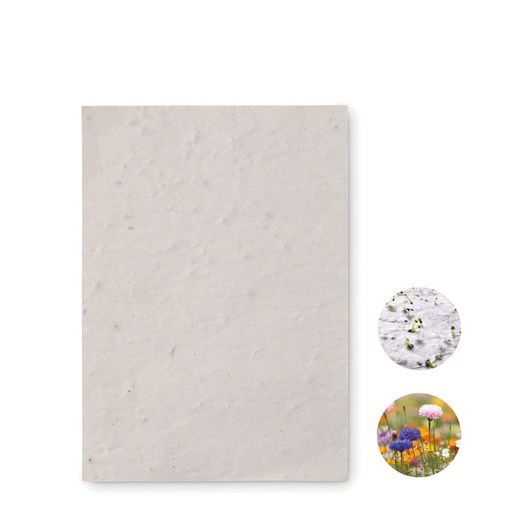 [MG-03823] Foglio A6 in carta con semi